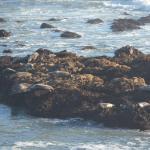 CambriaCN_130 (October 25, 2014)